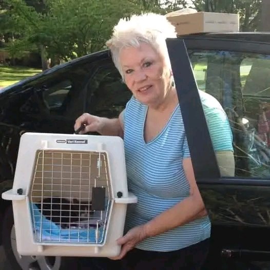 Lake Grove, New York — Community Remembers Tina Santo, Animal Rescuer and Travel Consultant