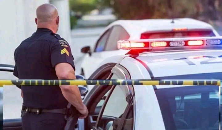 Authorities Review Late-Night Collision in Hollywood Involving Local Resident Linda Pine