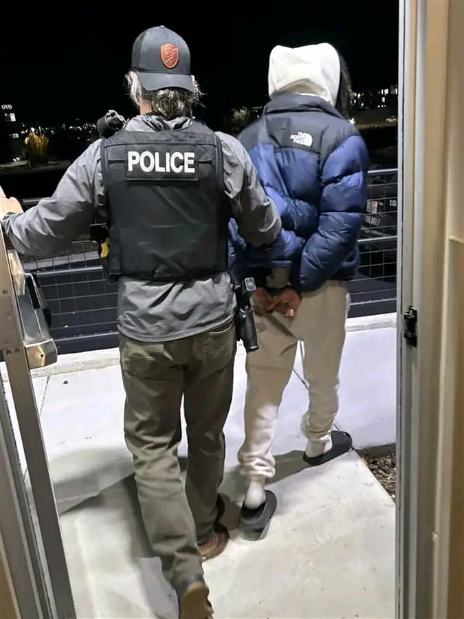 Lacey Community Grieves Loss of Brothers Alexander and Deven Borgen