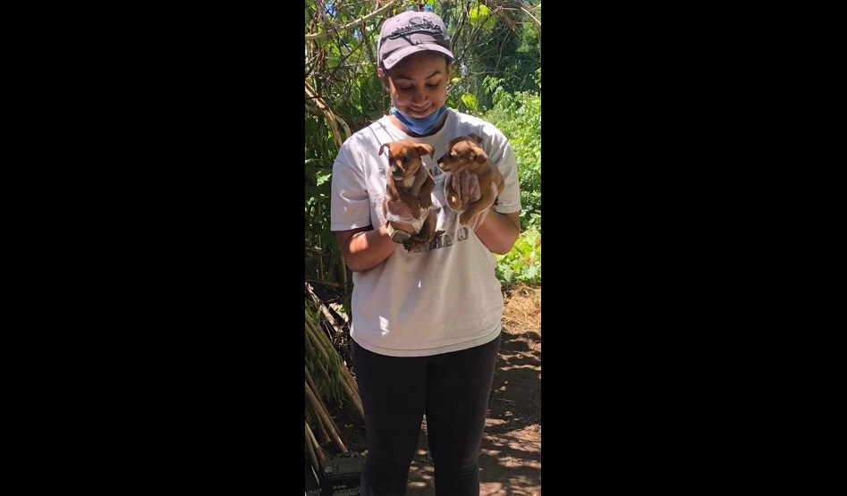 Chico, California: Chico State Student Alexandra Wynter, 28, Dies in Reported Domestic Incident