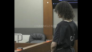 Former Adult Film Actress Sentenced to 28 Years to Life for Ex-Husband’s Murder