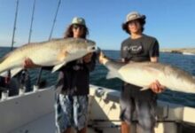Levi Shum of Potomac, Maryland Remembered After Passing While Traveling in Mexico