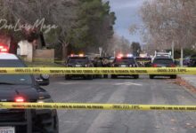 Veterans Park Closed After Large Fight in Lehigh Acres; One Person Taken Into Custody