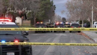 Veterans Park Closed After Large Fight in Lehigh Acres; One Person Taken Into Custody