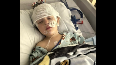 Ashland Girl, 4, Recovering From Rare Brain Condition Linked to Flu