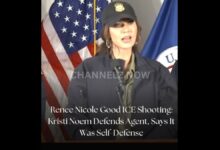 Minneapolis: Fatal ICE Shooting of Renee Nicole Good Sparks Protests and Debate