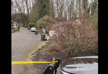 Albany, Oregon Fatal Shooting Under Investigation After Domestic Dispute Response