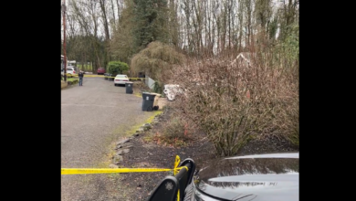 Albany, Oregon Fatal Shooting Under Investigation After Domestic Dispute Response