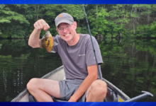 David Feeney of Easton, Massachusetts Dies in Accident, GoFundMe Launched