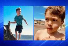 Pacific Beach Hit-and-Run: Driver Arrested After Death of 6-Year-Old
