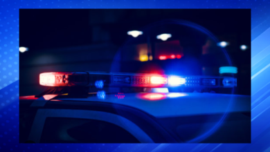 Williamsburg Stabbing: One Dead and Woman Injured Near Ross and Home Depot in Williamsburg, VA