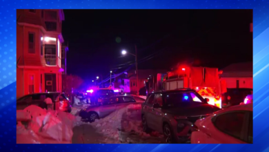 Man Arrested in Connection With Shooting Deaths of Woman, Her Son in Fall River