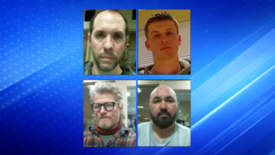 Minneapolis Protests Lead to Arrests of Four Alleged Anti-ICE Agitators, Officials Say