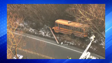 School Bus Carrying Students Runs Off Road in Boston