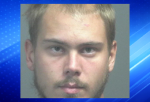 Man Arrested After Fatal Stabbing of Mother During Domestic Incident, Police Say