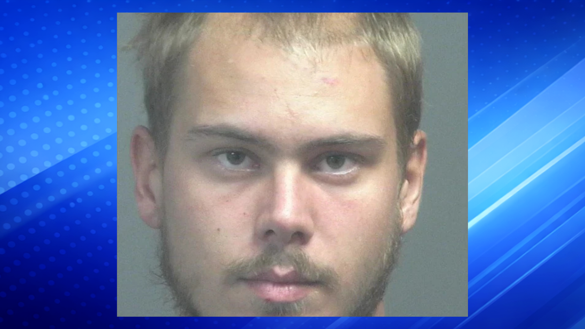 Man Arrested After Fatal Stabbing of Mother During Domestic Incident, Police Say