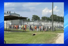 Madison Parish Jail Incident Leaves Two Inmates Dead, Two Hospitalized