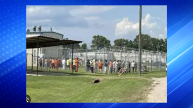 Madison Parish Jail Incident Leaves Two Inmates Dead, Two Hospitalized