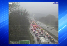 Man Dies After Falling From Bridge on A38 in Plymouth