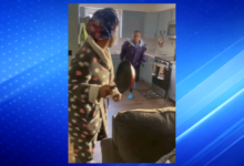Video Shows Family Incident Involving Child at JB’s Safe Hands Facility