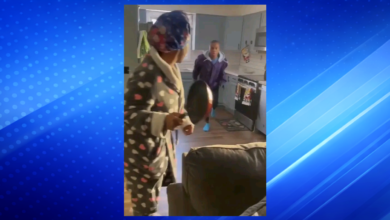 Video Shows Family Incident Involving Child at JB’s Safe Hands Facility