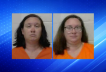 Mother Sentenced to Five Years After Infant Dies in Hot Car While She Worked