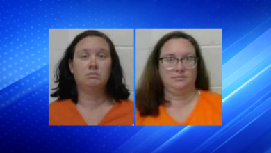 Mother Sentenced to Five Years After Infant Dies in Hot Car While She Worked
