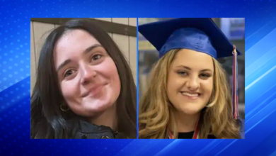 Two Teens Killed After BMW Crashes in Hicksville, Nassau County