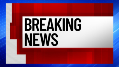 Davie Shooting Leaves One Person Injured Near Aveda Institute