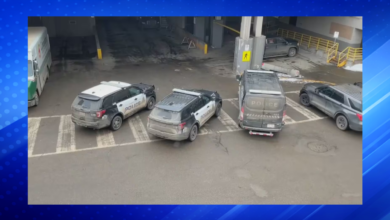 West Edmonton Mall Shooting: Lockdown After Reports of Gunshots at West Ed Mall