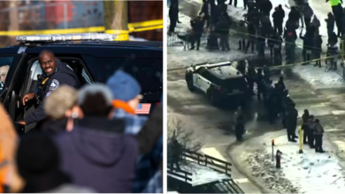 ICE Agent Named After Woman Killed in Minneapolis; Video Evidence Emerges