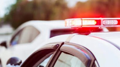 Gracey Adams of Nashville, Tennessee Passes Away – Obituary & Memorial Information