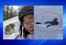 Woman Nearly Loses Face After Taking Selfie With Snow Leopard