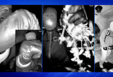 Photos of Person of Interest Released in Nancy Guthrie Disappearance