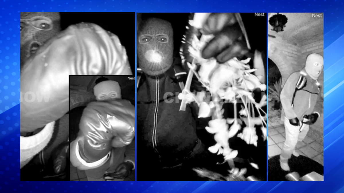 Photos of Person of Interest Released in Nancy Guthrie Disappearance