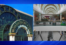 Police Investigate Shooting at Woodbine Shopping Centre Plaza
