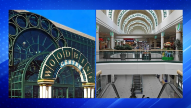 Police Investigate Shooting at Woodbine Shopping Centre Plaza
