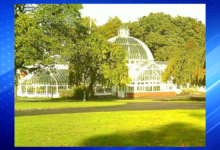 Deadly Stabbing Under Investigation After Body Discovered at Tollcross Park in Glasgow