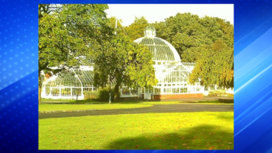 Deadly Stabbing Under Investigation After Body Discovered at Tollcross Park in Glasgow