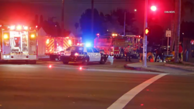 Overnight Lynwood Shooting Leaves One Man Dead, Investigation Underway