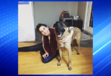 Saskatoon Assistant Professor Natasha Gattey Killed in Tragic Skiing Accident