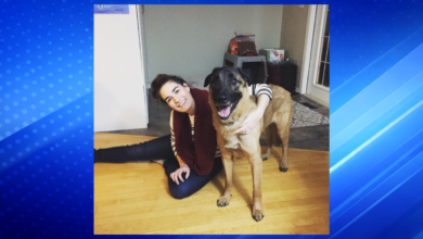 Saskatoon Assistant Professor Natasha Gattey Killed in Tragic Skiing Accident