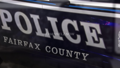 Multiple Stabbing Victims and Officer-Involved Shooting Reported in Fairfax County