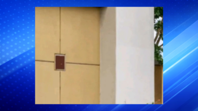 Williamsport Olive Garden Incident Leaves Man in Critical Condition After Jumping Into Fryer