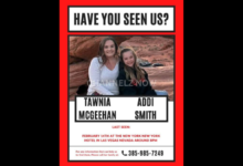 Las Vegas Police Search for Missing Mother Tawnia McGeehan and Daughter Addi Smith