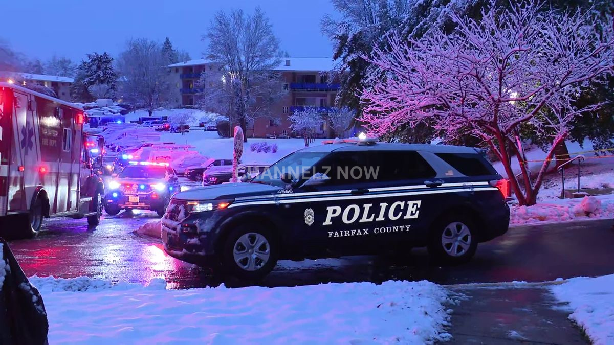 Mantua, VA Incident: Two Killed, Two Hospitalized Following Domestic Stabbing and Shooting Investigation