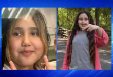 School Bus Driver Arrested in Bath Beach Hit-and-Run Involving 11-Year-Old Girl