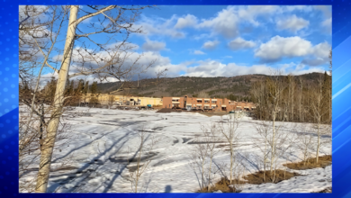 Multiple Killed in Tumbler Ridge School and Home Shootings