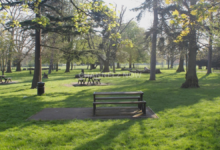 Peckham Rye Park Incident: Met Police Respond to Serious Stabbing Report