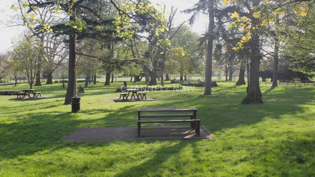Peckham Rye Park Incident: Met Police Respond to Serious Stabbing Report